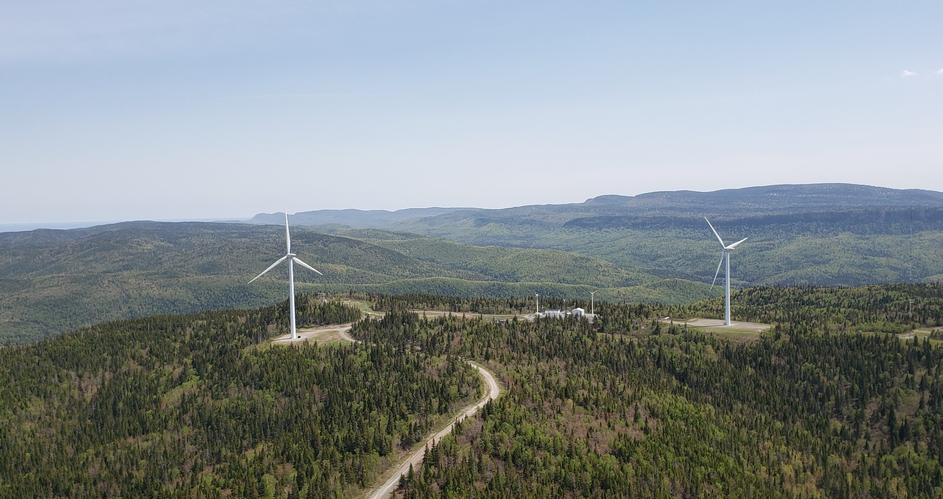 Foret boréale avec éoliens