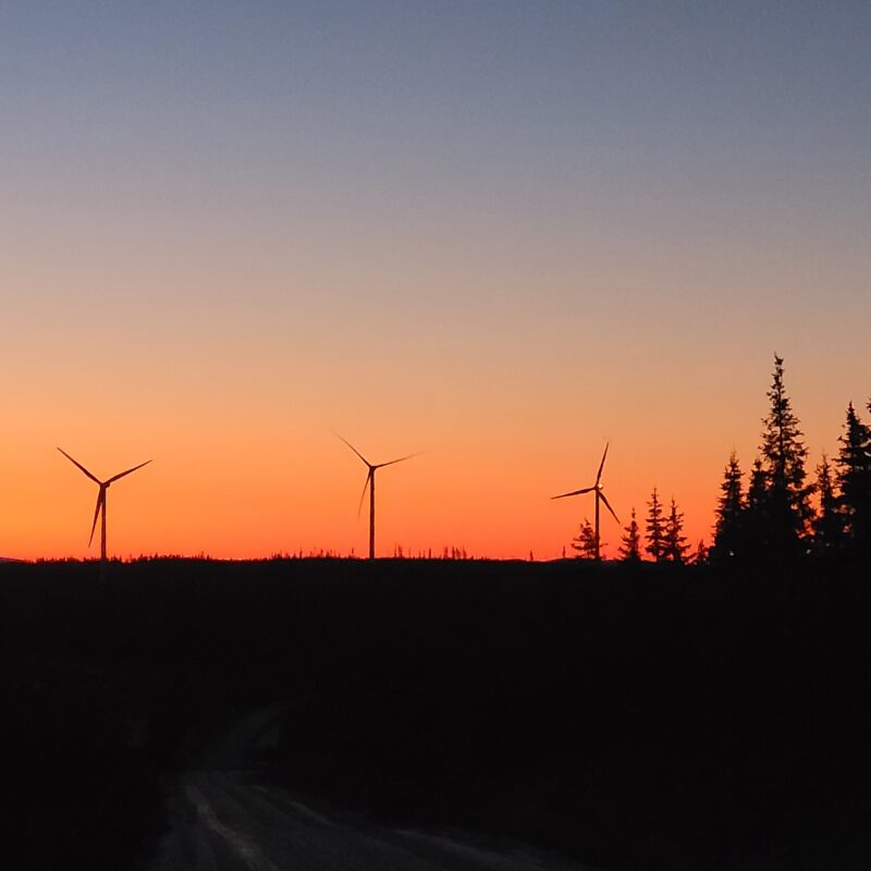 Paysage avec coucher de soleil avec sapins et éoliennes en contre-jour